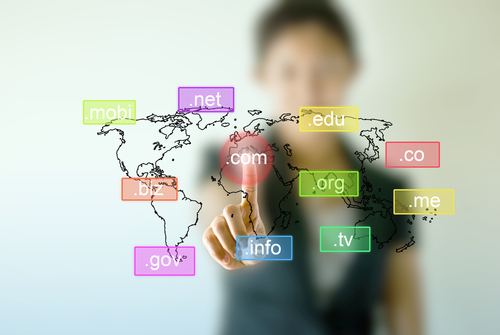 Trademark owners should create a healthy mix of country-specific and product-oriented Internet addresses.